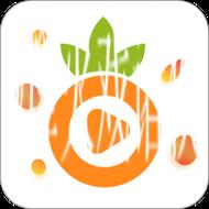 “菠萝视频app官网入口下载最新版本”